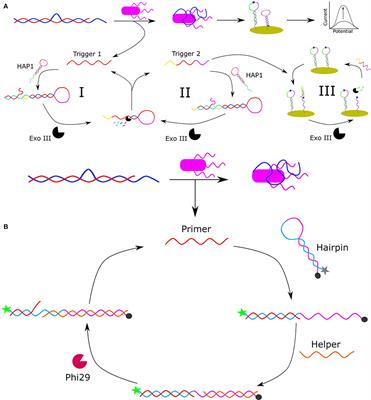 Aptamer-Based Biosensors for Environmental Monitoring